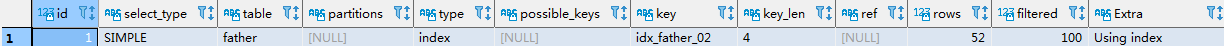 explain_type_index1